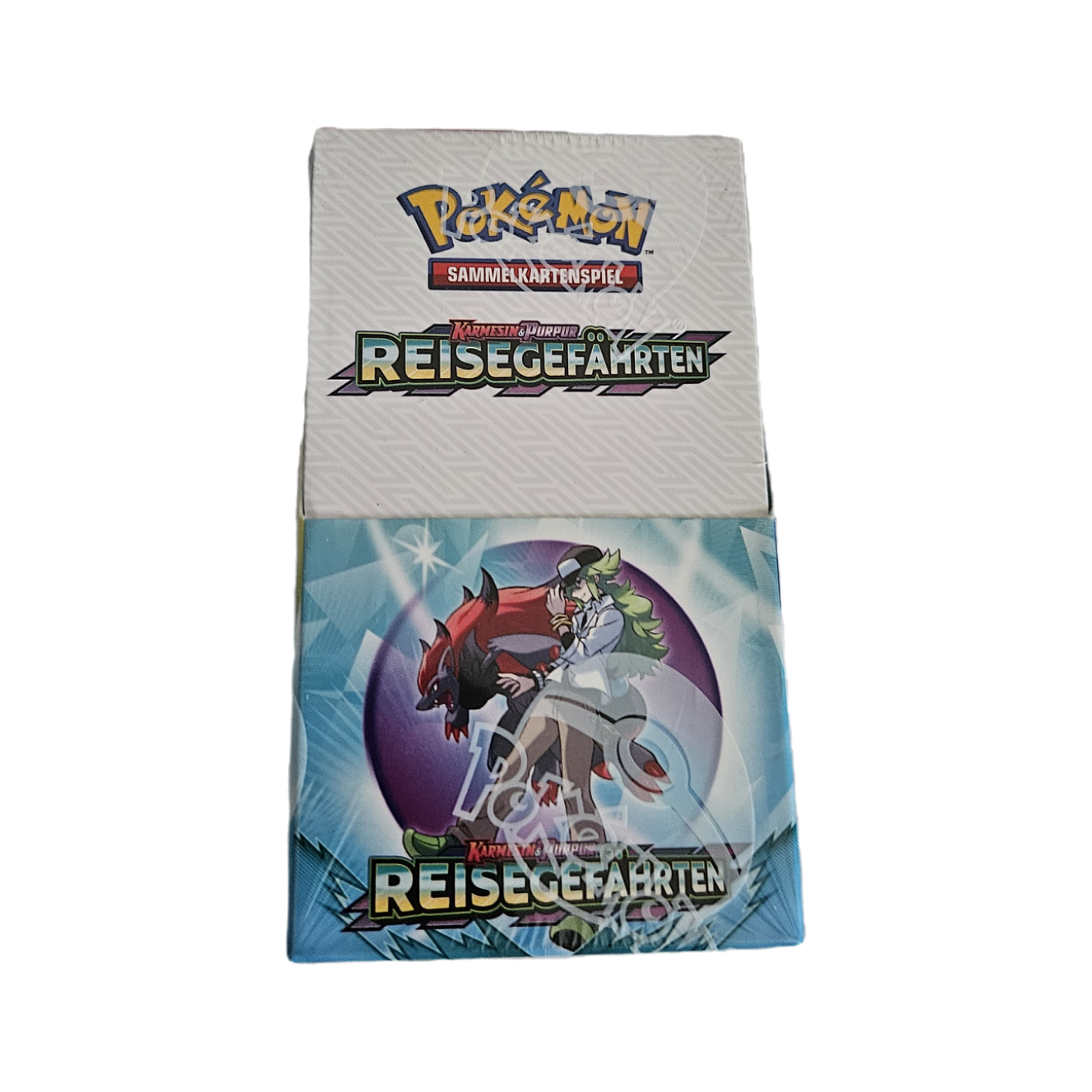 18er Display Pokemon Reisegefährten