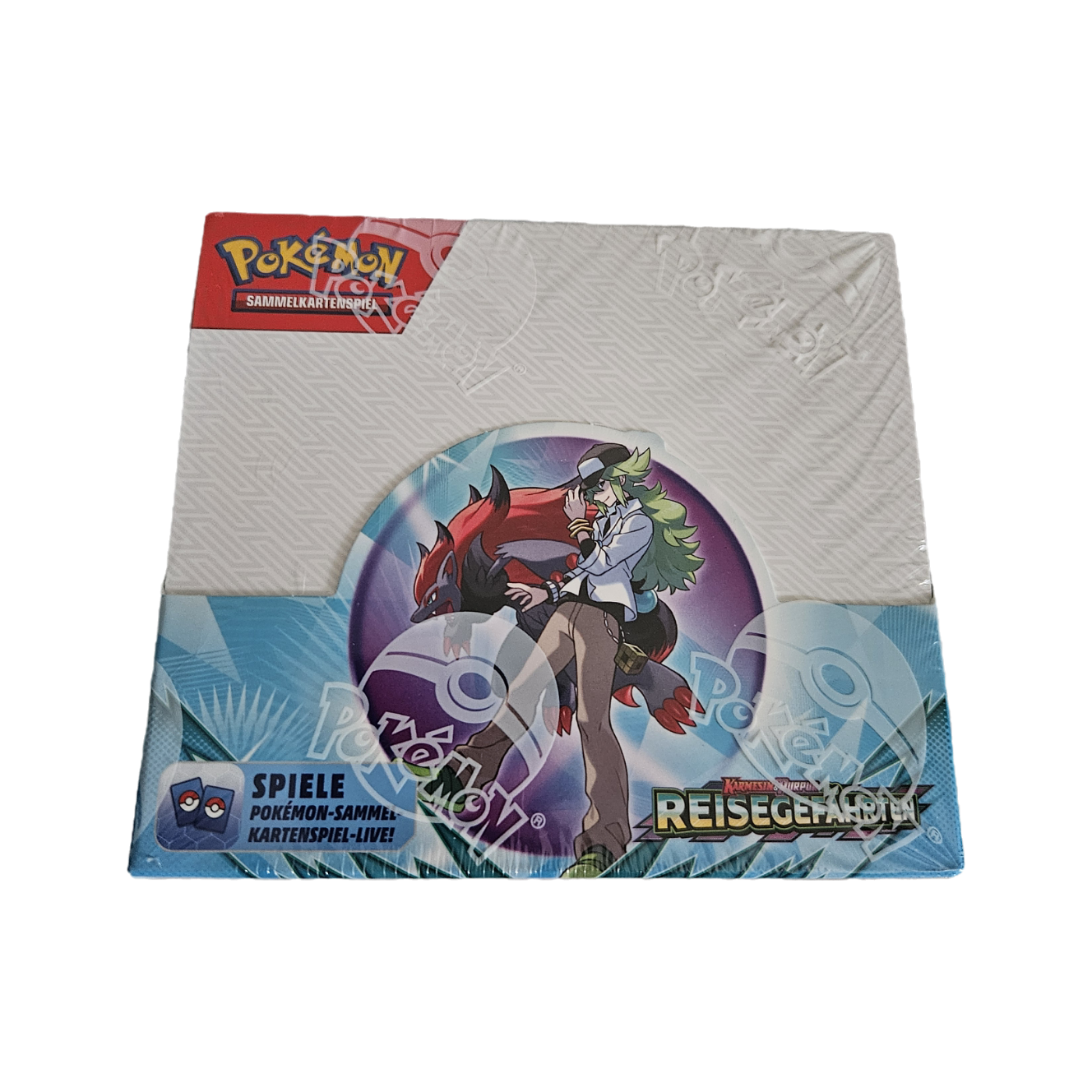 36er Display Pokemon Reisegefährten